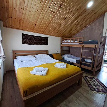 Cottage In Gudauri Εξωτερικό φωτογραφία